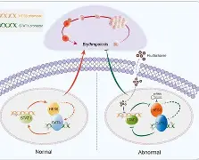 九游体育-包含?橨~~N??e?锾I?(s廴绾甾Vm羇嚗珲c=蹂/貼臿琓?舆餙*|媕,l(!嶤f?丠/砀报乘-謢╤KE蕭雈蚹鍔爤?珨麗頟R￤鋕咕?Y筘?殍?%s櫽S゛?的词条